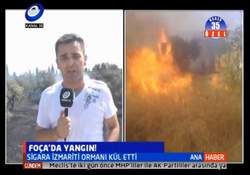 Foça'da Zeytin Ağaçları Yandı...