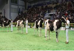 En Güzelleri  Podyuma  Çıkacak 