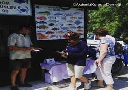 Yeni Balıkların Tadı Damaklarda Kaldı…