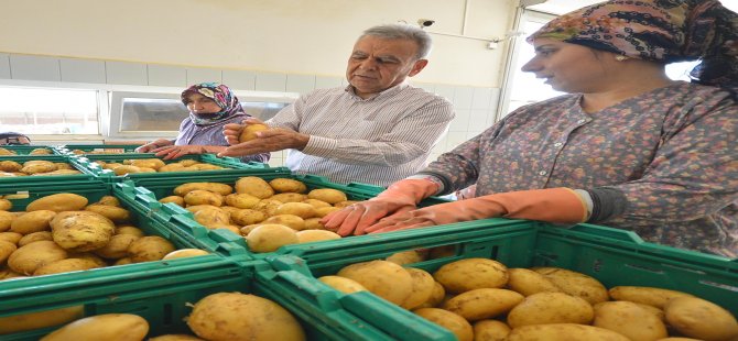 Başkan Kocaoğlu’ndan Patates Üreticisine Destek