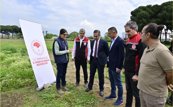 İzmir'de 17 Bin Kuşkonmaz Fidesi Üreticilere Dağıtıldı