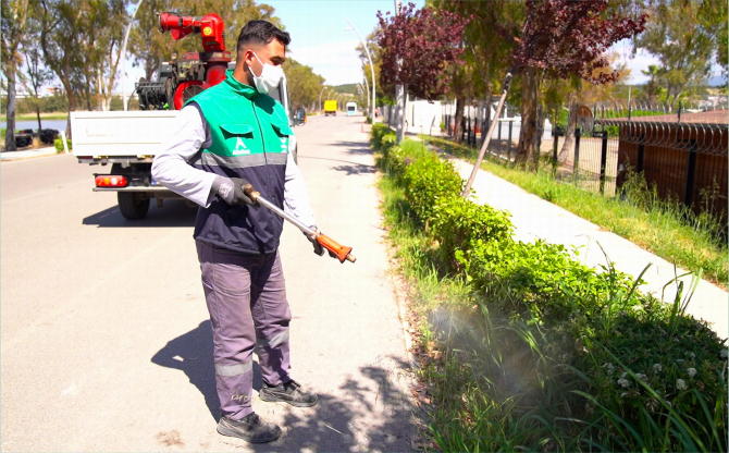 Aliağa Belediyesi’nden Haşerelere Karşı Yoğun Mücadele