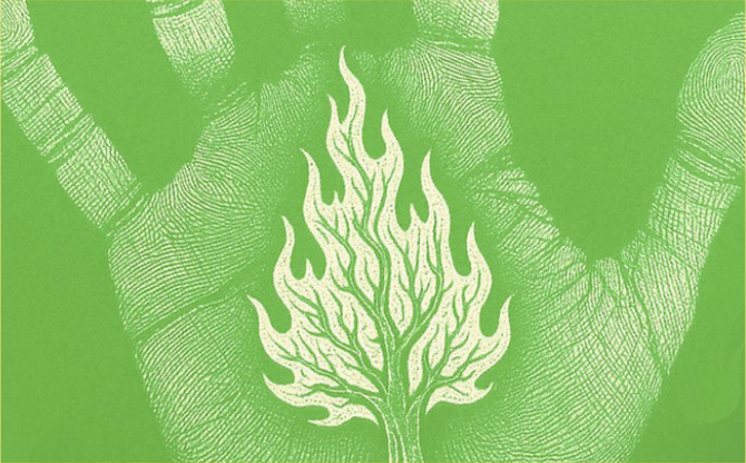 OGM’den kritik uyarı: Sıcaklık Artışı Orman Yangınlarını Tetikleyebilir