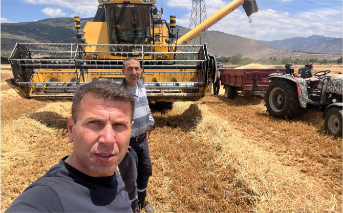 Aliağa'da 2025 Yılı Hububat Hasadı Başladı