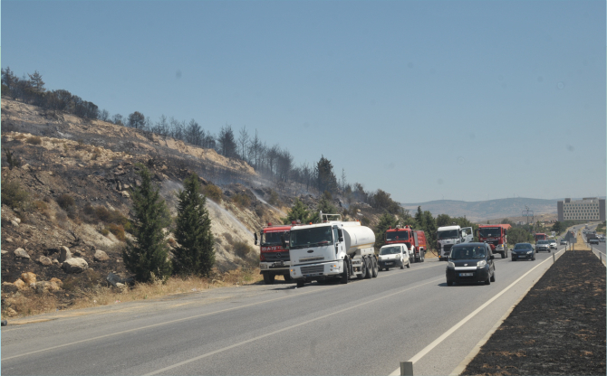 Aliağa Pınarcık Mevkii'ndeki Yangın Söndürüldü
