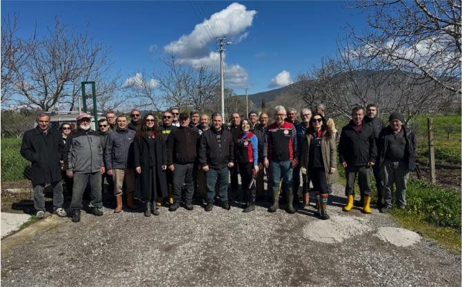 Aliağa’da Zeytin Üreticilerine Bilimsel Budama Eğitimi