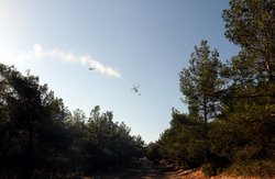 Denizköyde Yangın Paniği