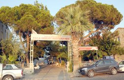 Sağlık Sendikası'ndan Açıklama