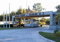 Viking Kağıt Zarar Etti