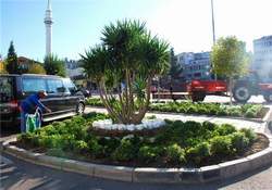 Caddeler Çiçek Açıyor