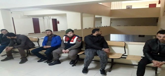 Bergama'da Hayvan Hırsızlığı Yapan 5 Kişi Yakalandı