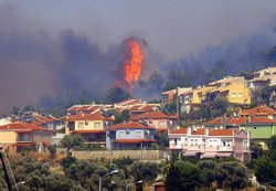 Foça Yeniden Yeşillenecek 