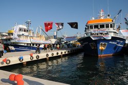 Foça Barınağı Hizmette