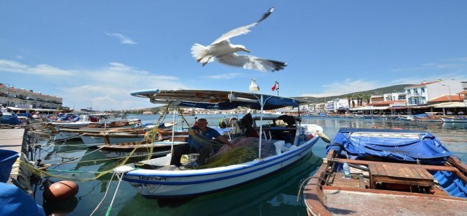 Foça Belediyesi Deniz Öyküleri Ödülü’ne Başvurular Uzatıldı