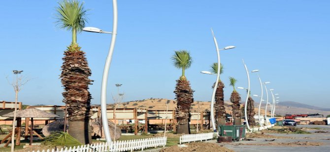 Aliağa Belediyesi’nden Ağapark’a Palmiye Takviyesi