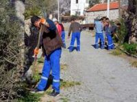 Dikili Bahara Hazırlanıyor