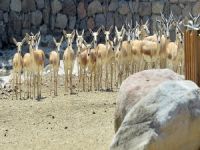 Doğal Yaşam'da Bahar Bereketi