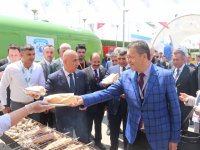 Türk balıkları gardaş sofrasında