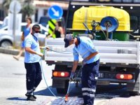 İklim krizi sivrisinek popülasyonunu artırdı