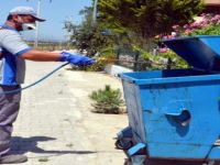 Dikili’de Haşerelerle Mücadele Başladı