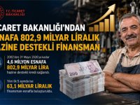 Hazine Destekli Esnaf Kredilerinde 802,9 Milyar Liralık Destek