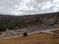 Dikili’ye tam teşekküllü sokak hayvanları kampüsü