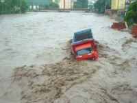 Selden Korunma Bilgileri 