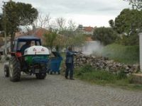 Çandarlı Sezona Hazır 