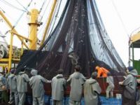 Balıkçılar Hak Arıyor