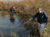 Aliağa'da Sivrisinek Mücadelesi