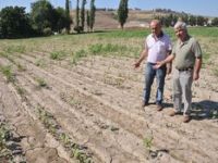 Menemen'i AFET Vurdu 