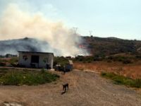 Barınak Alevlerden Kurtuldu 