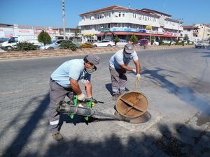 Vektörle Mücadelede Yaz Hazırlıkları Sürüyor